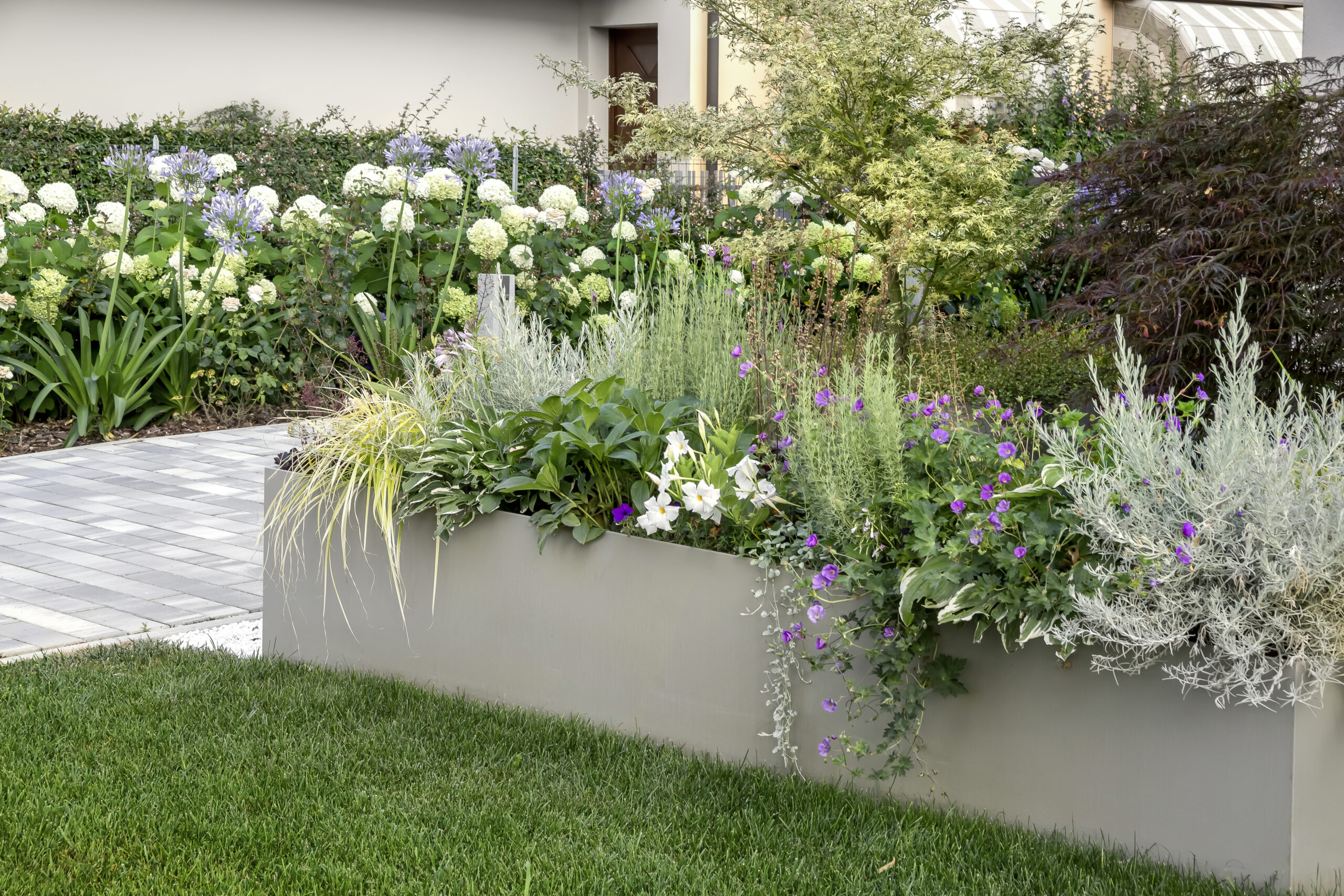 20250207_Giardino RSN